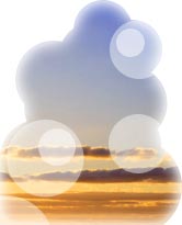 C[W